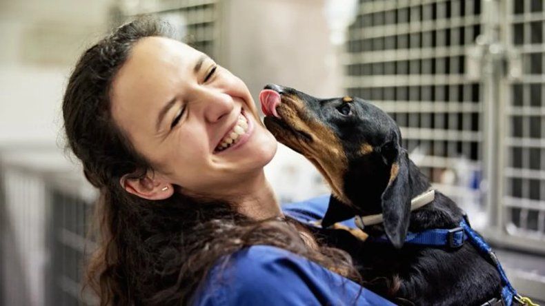 Zoonosis. La Hidatidosis puede transmitirse de perros a humanos y ganado.