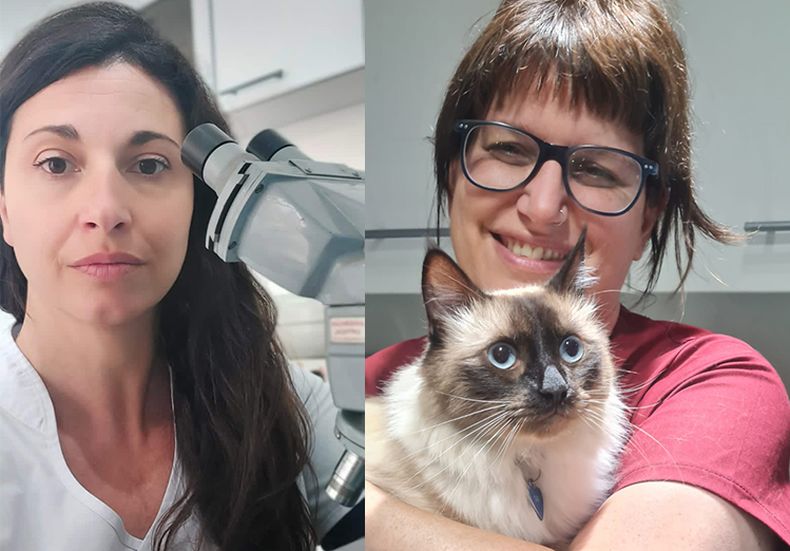 MV Natalia Luka y la Dra. María Soledad Varela estarán a cargo de este taller sobre oncohemotología en felinos.