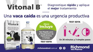 El foco en la vaca caída.