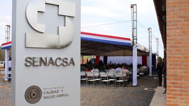 El Senacsa evalúa los pasos para transitar hacia una condición libre sin vacunación.