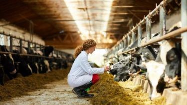 La producción ganadera frente a un escenario sanitario exigente.