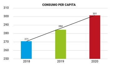 Motivar | Grafico consumo per capita CAPIA.jpg