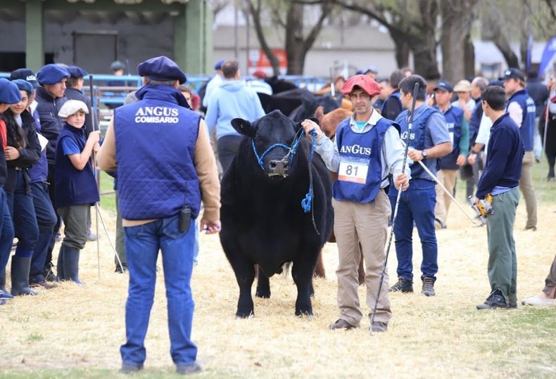 Será un gran evento para que Angus siga haciendo un camino fuerte en la difusión de la raza.