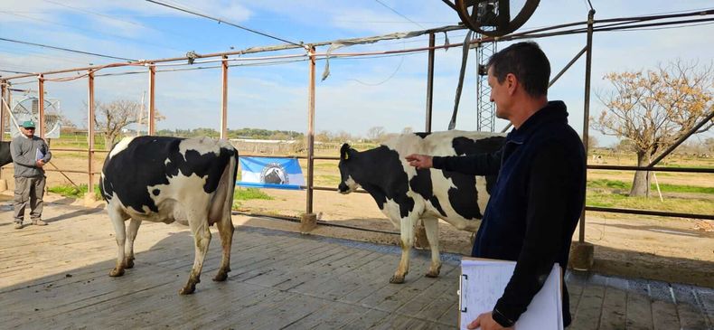 La vitalidad de la lechería santafesina se refleja en la búsqueda constante de la excelencia, clave para el futuro de la producción agropecuaria.