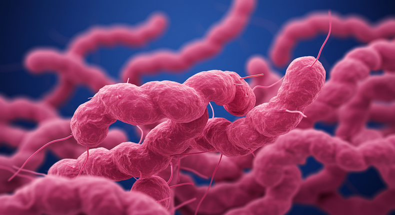 El diagnóstico temprano es clave para proteger la reproducción en bovinos.