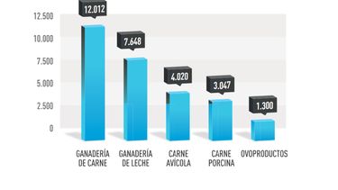 Argentina 2023: el tablero de la proteína animal