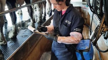 La MV Carolina Ledesma indicó que el secado es el momento clave para prevenir pérdidas en la lechería.