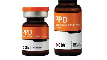 Motivar | PPD Aviar.jpg