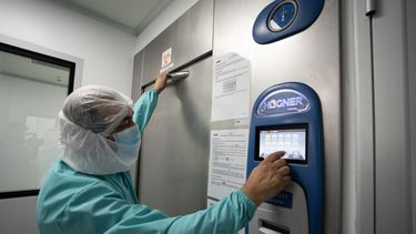 El inicio de la producción en la nueva planta comenzó en julio de 2024. Desde CDV proyectan que sus productos estén disponibles a partir de septiembre próximo.