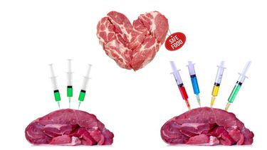 Motivar | carnes civetan medicamentos.jpg