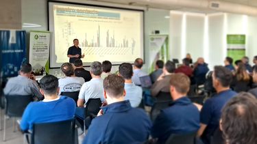 La campaña 23/24 de maíz fue inferior a la anterior por la incidencia del clima y de la chicharrita.