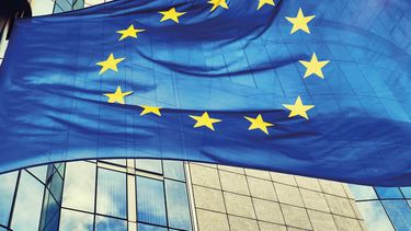 ¿Qué antimicrobianos prohíbe la UE en veterinaria?