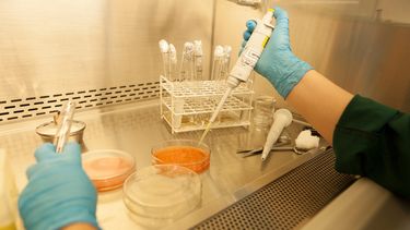 Esta modificación de Senasa del marco regulatorio permite desburocratizar procesos internos y reducir sustancialmente los plazos.