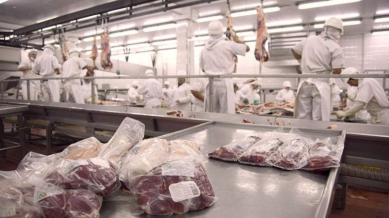 Exportaciones. Precios récord e incremento de los envíos a Estados Unidos.