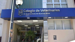 La profesión veterinaria, en riesgo por la falta de controles. La profesión veterinaria, en riesgo por la falta de controles.
