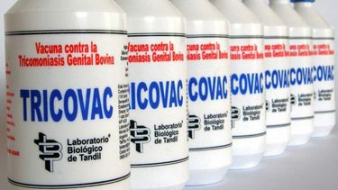 La vacuna de BIOTANDIL contra la tricomonosis bovina.&nbsp;