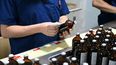 Productos veterinarios al servicio de la inocuidad.