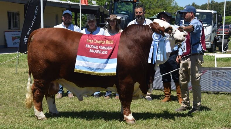 Genética animal: fomentan más inversión y productividad.