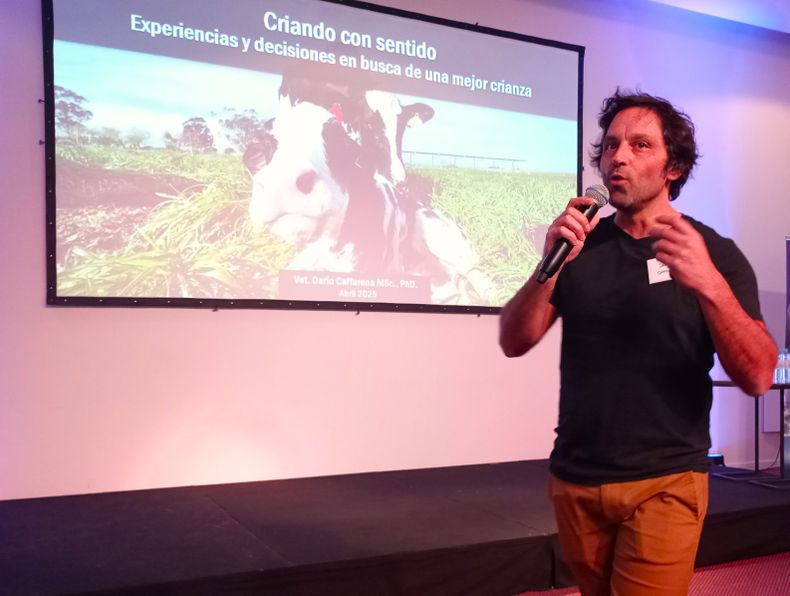 En las jornadas de Tandil, Caffarena hablará sobre la diarrea neonatal en terneros.
