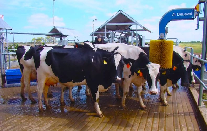 Las tecnologías inteligentes reportan múltiples beneficios dentro del tambo.