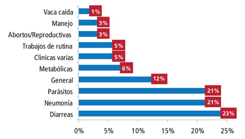 Grafico Toni.jpg
