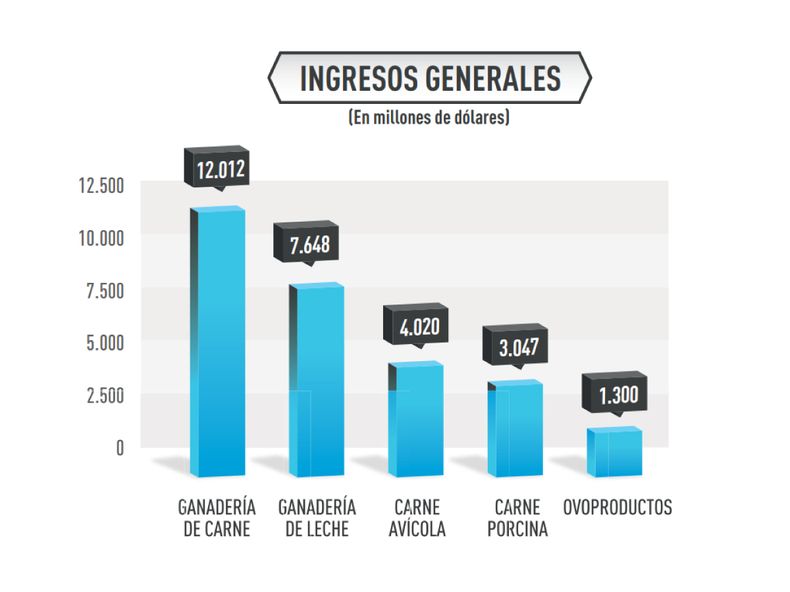 infografia ganaderia.jpg