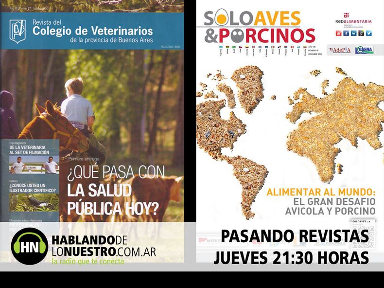 Pasando revistas Prog 1.jpg