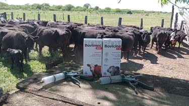 Richmond Vet Pharma reafirma su compromiso con la salud animal.