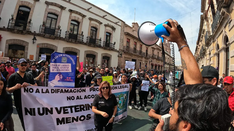 Veterinarios, estudiantes y organizaciones se manifestaron en todo México.
