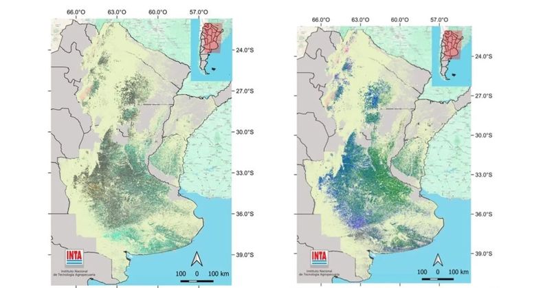 El mapeo de cultivos es de utilidad académica, comercial, productiva y logística.