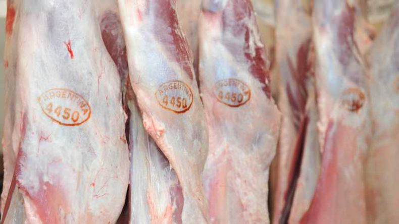 El mercado de la carne argentina se ajusta a nuevos equilibrios, reflejando cambios en el consumo y los precios ganaderos.