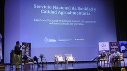 El plan nacional busca erradicar Aujeszky y ordenar la producción porcina. El plan nacional busca erradicar Aujeszky y ordenar la producción porcina.