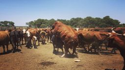 Enfermedades venéreas bajo control. Enfermedades venéreas bajo control.