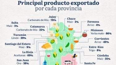 Exportaciones agroindustriales: provincia por provincia. 