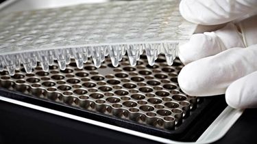 La innovación biotecnológica avanza en el sector agropecuario, con nuevos marcos regulatorios que agilizan los ensayos con microorganismos modificados.
