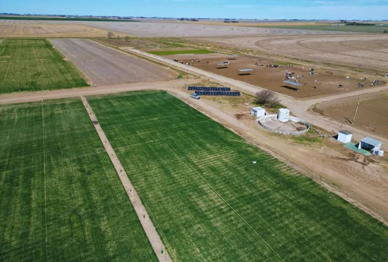 Con 310 milímetros deriego promedio y esta tecnología&nbsp; se triplican los rendimientos de trigo.