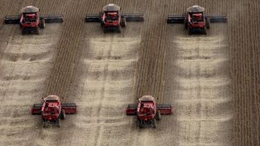 El sector agroindustrial argentino, motor de la economía, posee un vasto potencial para impulsar el desarrollo y las exportaciones.
