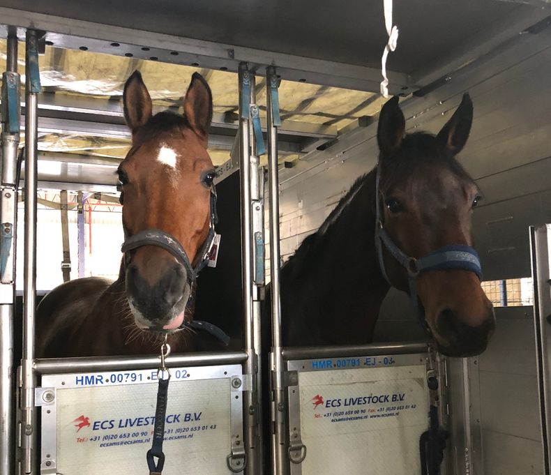 La medida busca prevenir la entrada de enfermedades exóticas y proteger la sanidad animal en el país