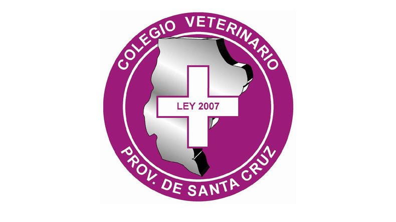 Colegio Santa Cruz 16 9.jpg