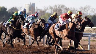 Motivar | invierno caballos.jpg