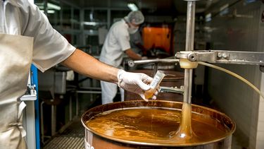 Entre Ríos es una de las principales zonas referentes de apicultura a nivel nacional.