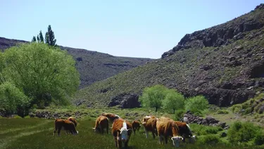 El INTA mide el carbono para potenciar la producción.