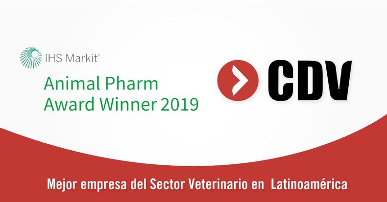 CDV AP Awards 2019 4 1.jpg