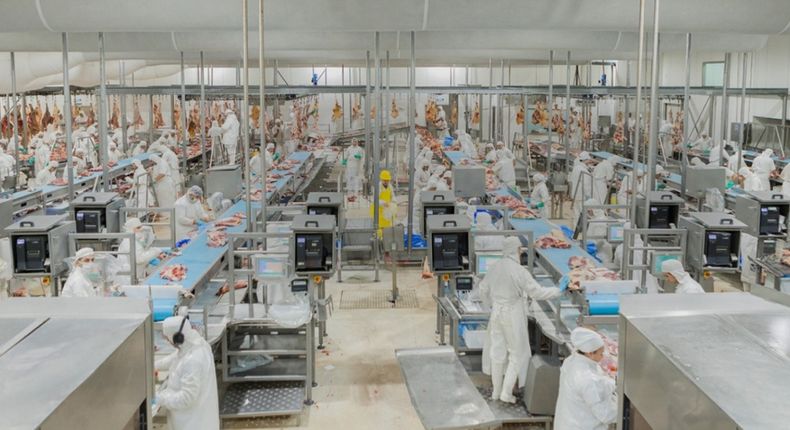 Se renovaron los criterios de bienestar animal dentro del organismo sanitario.