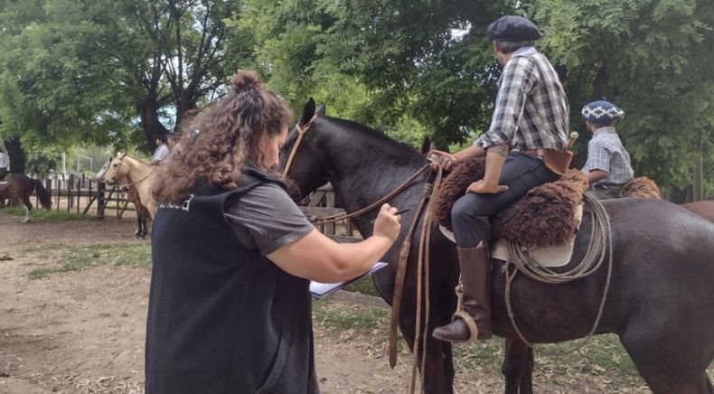 La vacunación contra la encefalomielitis equina es obligatoria a partir de los dos meses del animal.