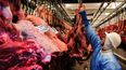 Brasil: esperan la reanudación de exportación de carne bovina y Antimicrobianos.