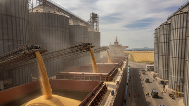 Exportaciones agroindustriales: girasol, maíz y carne impulsan el crecimiento.