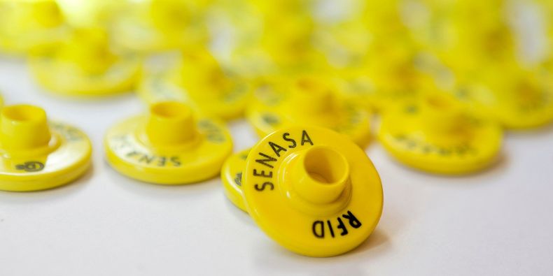 20 10 21_caravana_e_3.jpeg