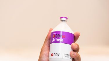 cdv exporto 1 millon de dosis de vacunas contra fiebre aftosa a uruguay