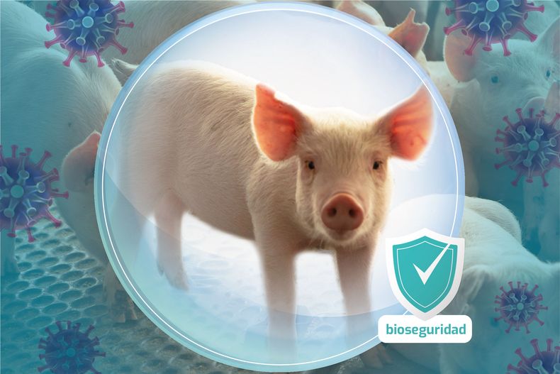 imagen art laura RGB.jpg